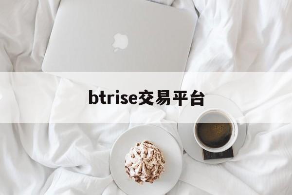btrise交易平台(btd怎么交易)